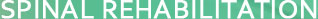 Spinal Rehabilitation - Sydney Physiotherapy