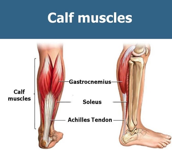 Calf strain - Sydney Physiotherapy